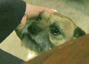 Eccles consoling Deirdre