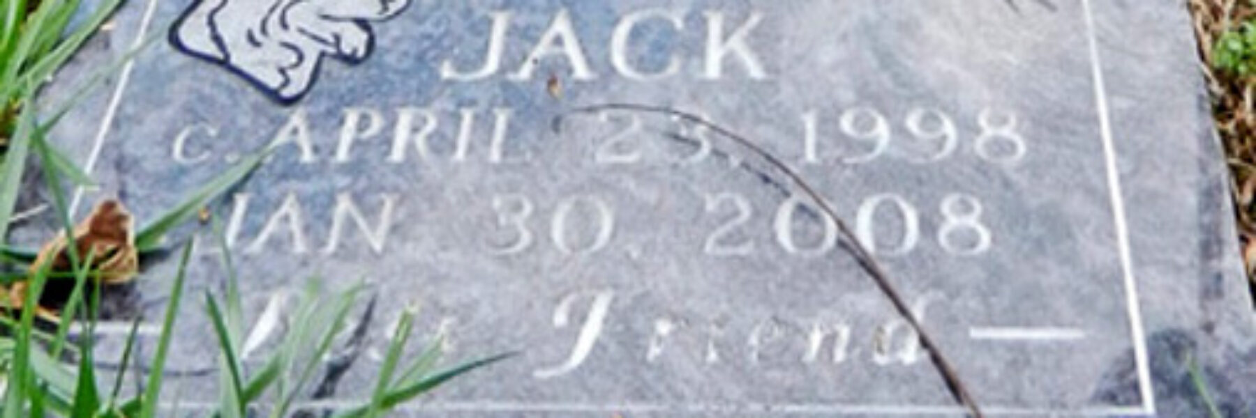 Jack 1998-2008