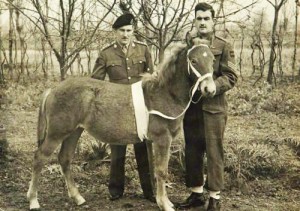 Regimental mascot Princess Louise and 8th Hussars in Italy