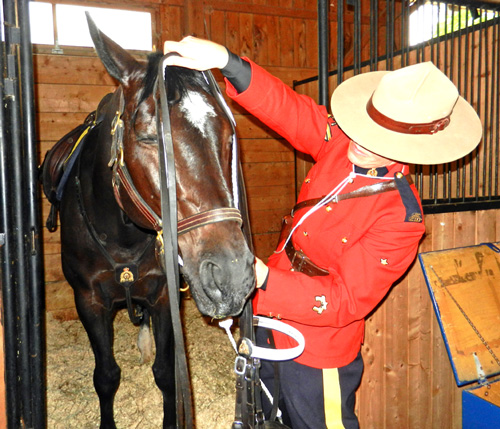 Cybil and rider Cpl. Beverly White