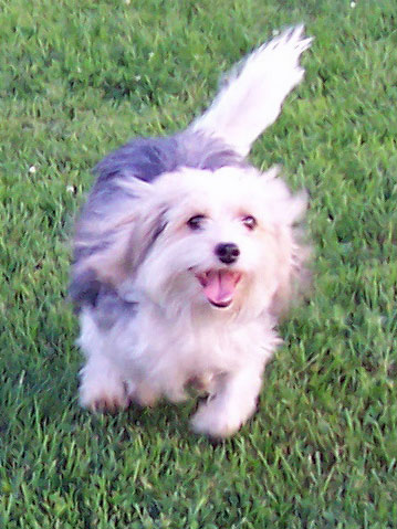 Charlie doing recall Charlie doing recall