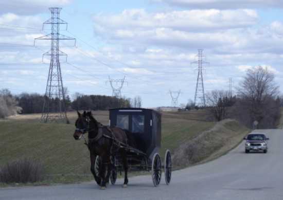 horse and buggy near Aylmer ON horse and buggy near Aylmer ON photo D Stewart