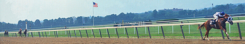 31-lengths-belmont-stretch-secretariat.com