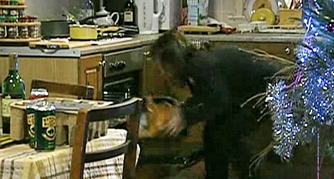 Coronation Street Scene of the Week (Oct. 17/10)