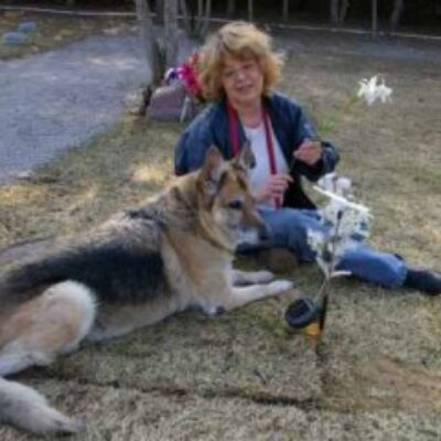 Dallas, a Shepherd
