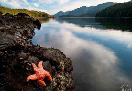 Pipelines through Paradise