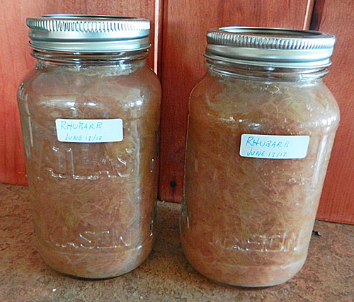 rhubarb-bottled rhubarb-bottled-photo-d-stewart