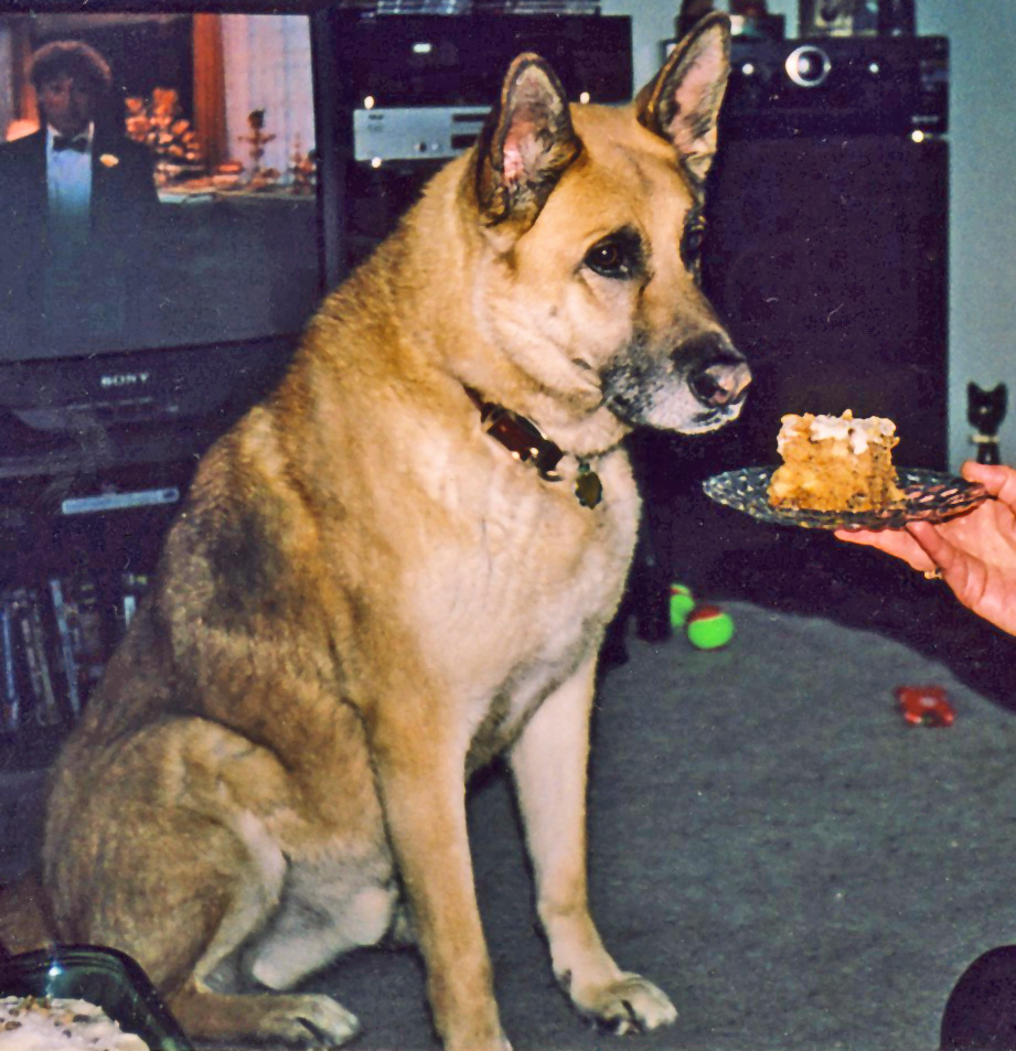 jack-birthday-cake-photo-j-stewart