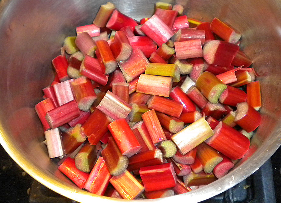 rhubarb-cut-up rhubarb-cut-up-photo-d-stewart