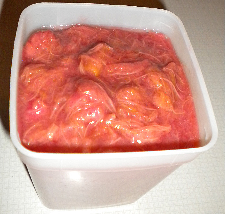 rhubarb-in-container-photo-d-stewart rhubarb-in-container-photo-d-stewart