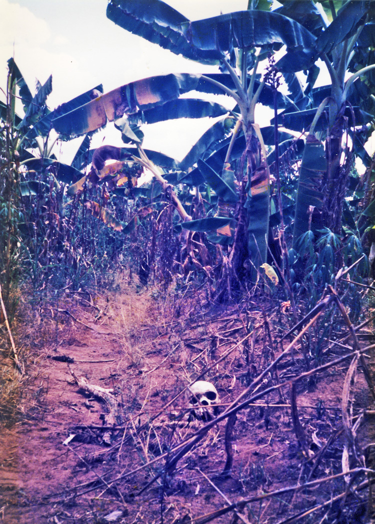 skull-in-palm-field-photo-d-anger