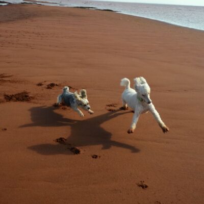 North Cape Trail, PEI