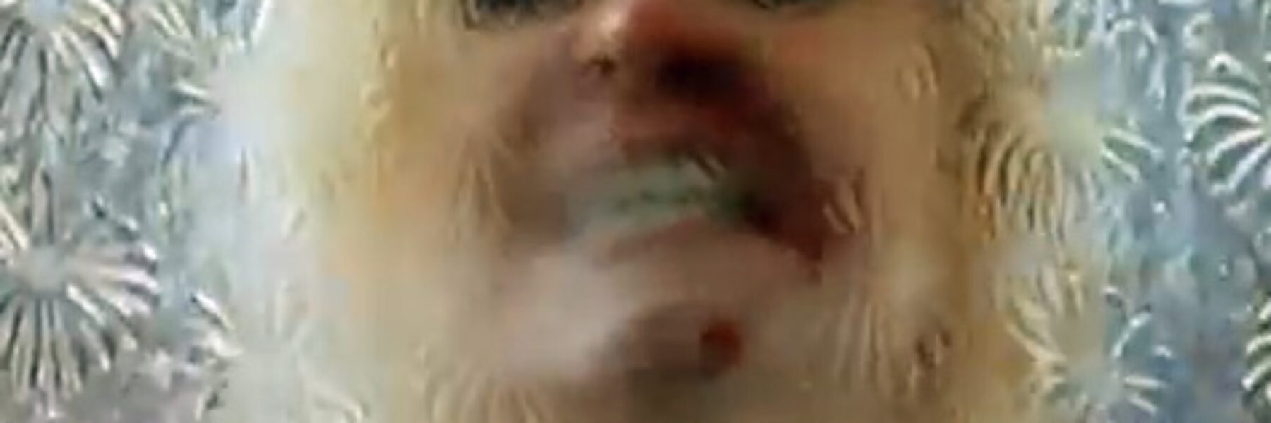 Coronation Street Scene of the Week (Nov. 13/11)