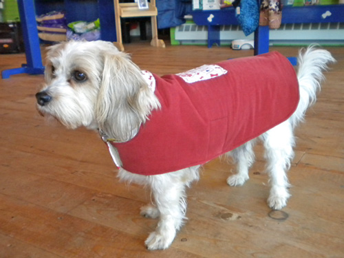 reversible dog coat