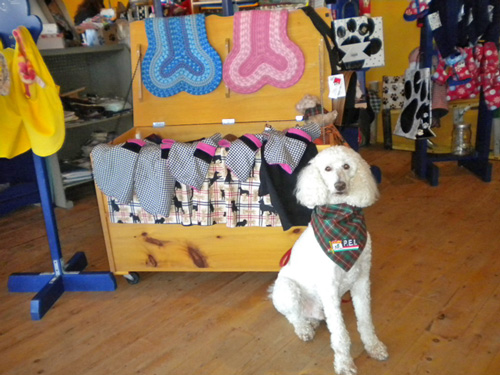 Leo wearing PEI tartan scarf photo d stewart