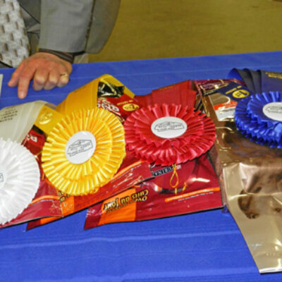 Elgin County Dog Show