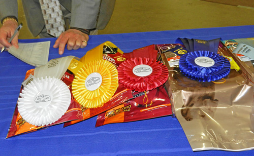 Elgin County Dog Show