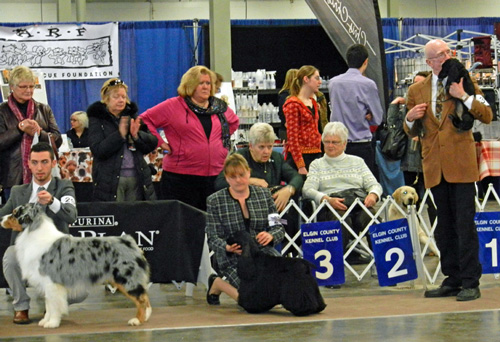 Display booths in background, including ARF, and dogs Elgin Co. Kennel Club photo d stewart
