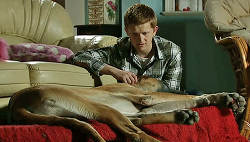 Ches talking to ill Schmeichel sleep tight