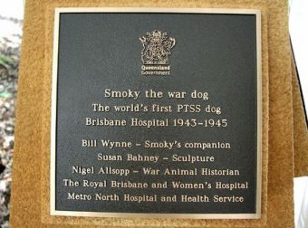 Smoky Plaque Brisbane 12 Dec 2012 Nigel Allsopp Plaque-12Dec12-Smoky war dog 1st PTSS dog Brisbane Hospital