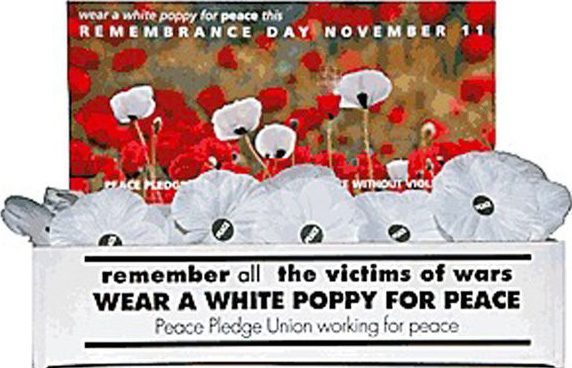 white-poppy-box-peace-pledge-union-ppu-org-uk
