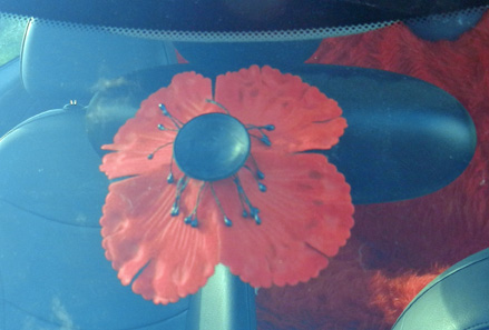 New Brunswick Legion car poppy photo d stewart