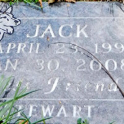 Jack 1998-2008