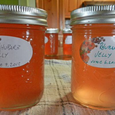 Rhubarb Jelly