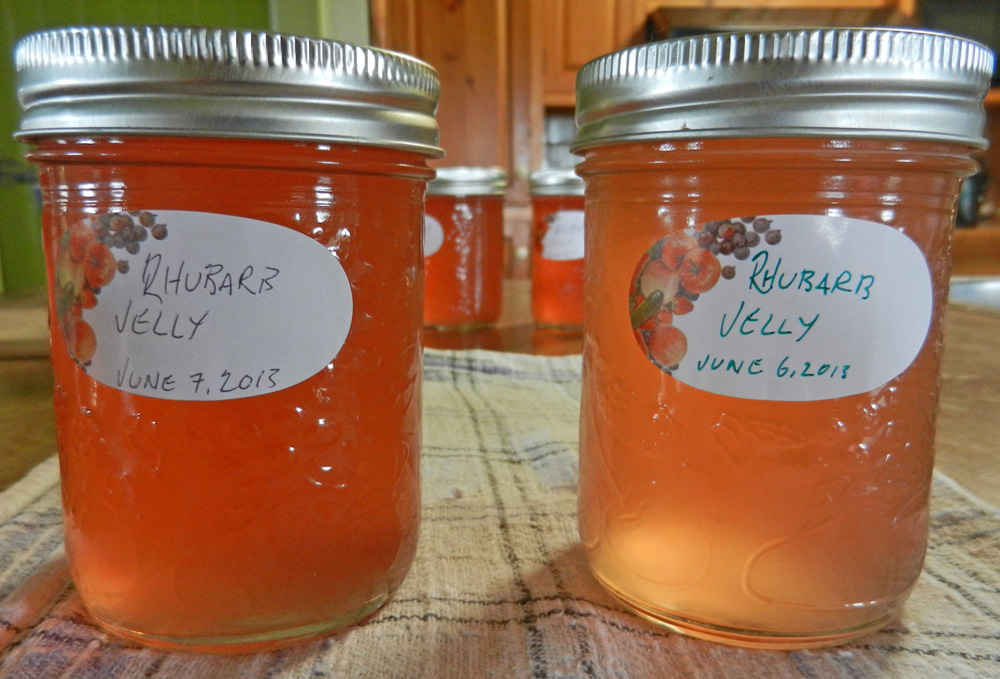 rhubarb-jelly-jars rhubarb-jelly-jars-photo-d-stewart