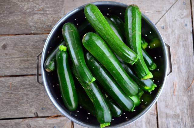 zucchini-photo-j-stewart