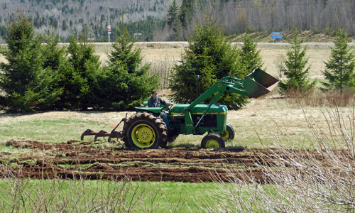 plowing plowing-photo-dorothy-stewart