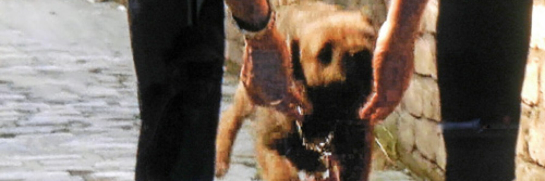 Corrie Street Oct. 5/14