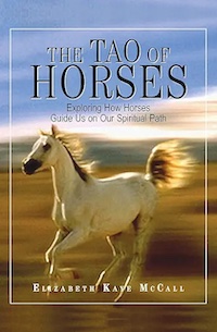 tao of horses