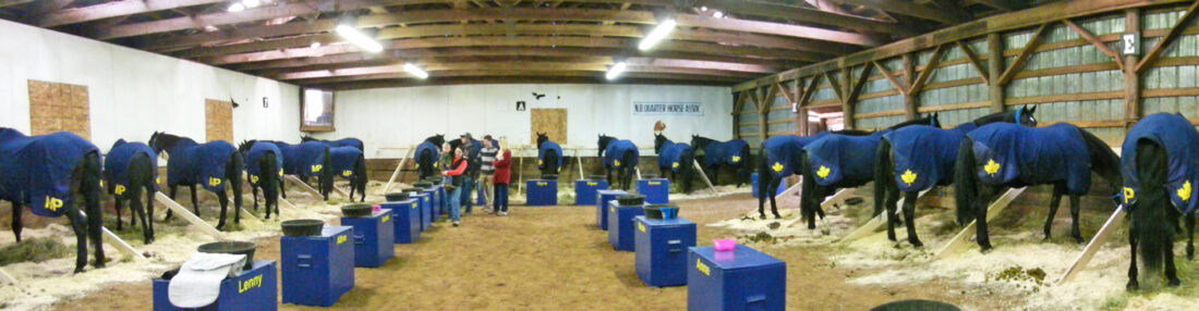 RCMP-horses-stabled-Butternut-photo-d-stewart
