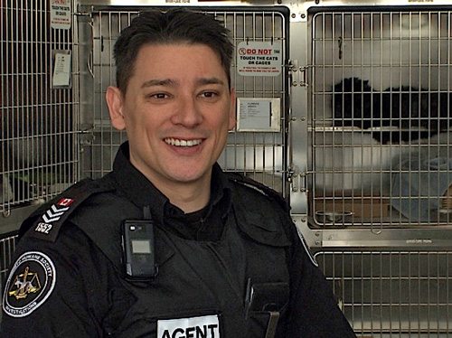 Tre Smith in THS cat room Cat Ladies doc