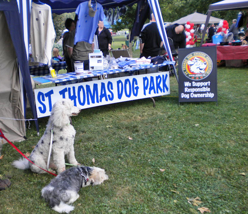 spot the fire muster dog and charlie stdoa booth photo d stewart