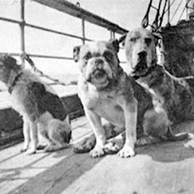 Titanic: No greater love