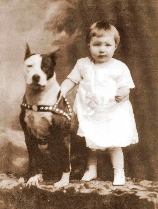 nanny-dog-pit-bull-fb nanny-dog-pit-bull-fb