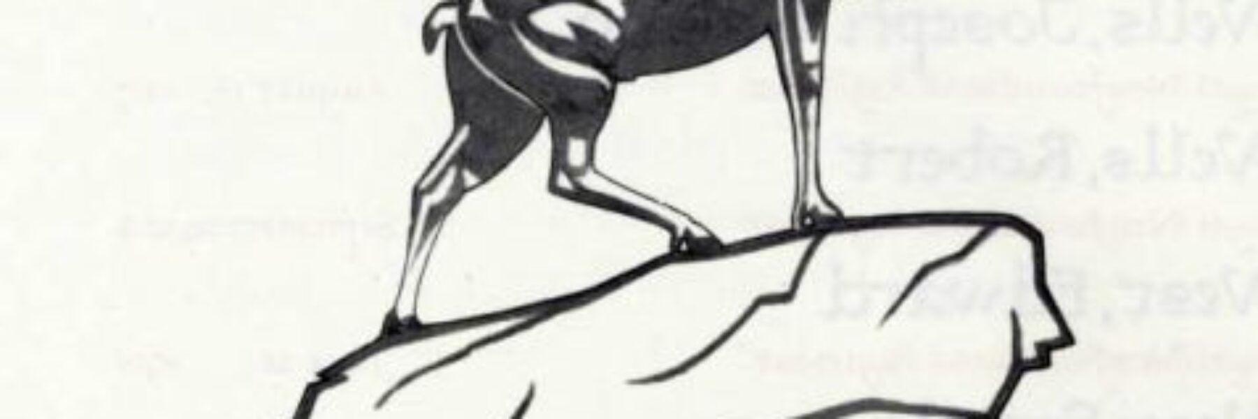 Newfoundland Regiment at Beaumont Hamel