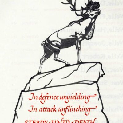 Newfoundland Regiment at Beaumont Hamel