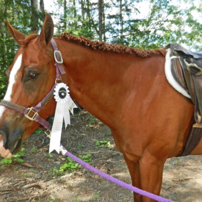 Horse Show