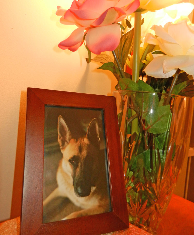 jack-flowers-2013-photo-d-stewart