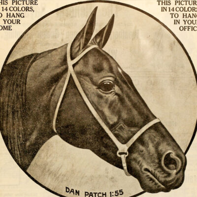Dan Patch