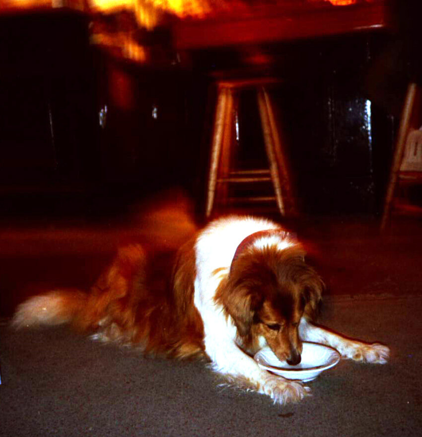 jamie eating chicken pot pie 1997