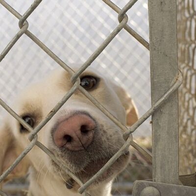 Redemption: Shelter Plan B