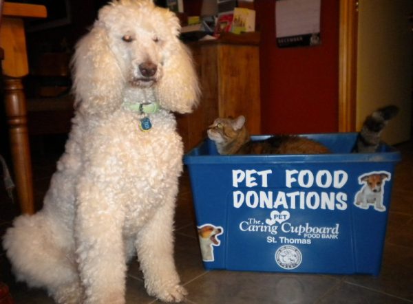 Pet Food Bank
