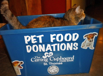 pet food donation bin with cat beside - photo d stewart