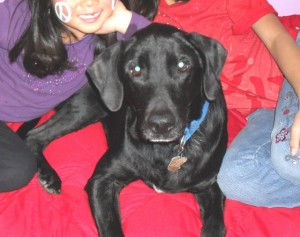 Bosco’s New Year