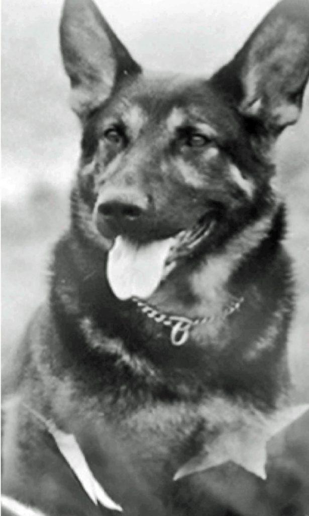 TRAKR-Wiki-Photo-1997