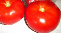 tomatoes table of content